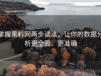 掌握黑料网两步读法，让你的数据分析更全面、更准确