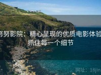 努努影院：精心呈现的优质电影体验，抓住每一个细节