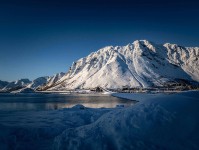 觅圈体检卡：精细化管理提升效率的关键