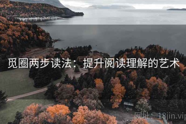 觅圈两步读法：提升阅读理解的艺术