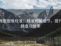 微密圈像校准：精准把握细节，提升精度与效率