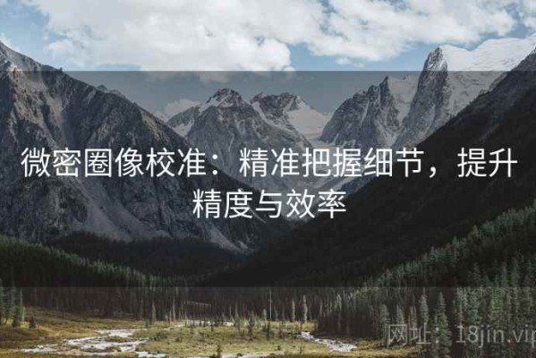 微密圈像校准：精准把握细节，提升精度与效率