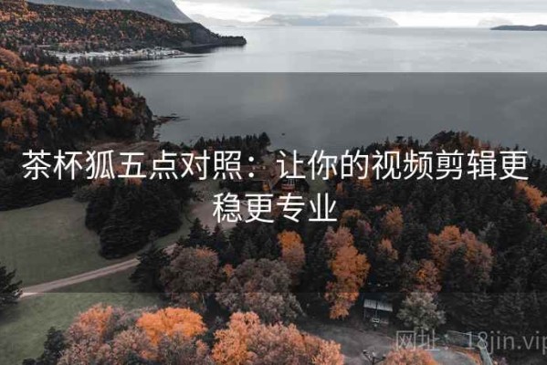 茶杯狐五点对照：让你的视频剪辑更稳更专业