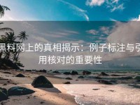 黑料网上的真相揭示：例子标注与引用核对的重要性