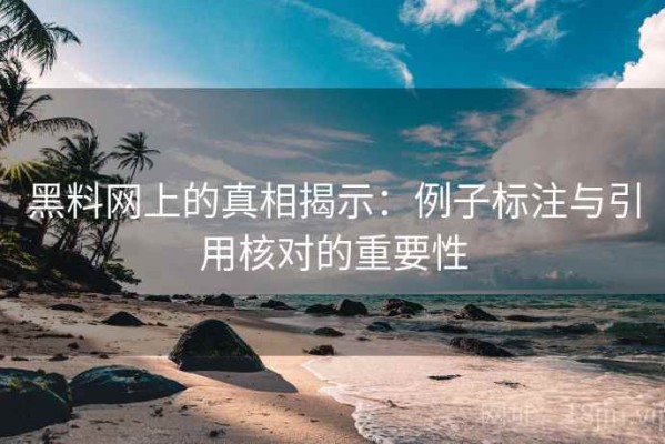 黑料网上的真相揭示：例子标注与引用核对的重要性
