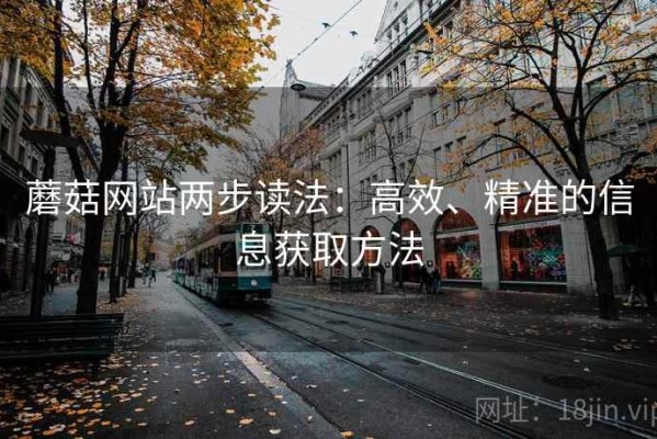 蘑菇网站两步读法：高效、精准的信息获取方法