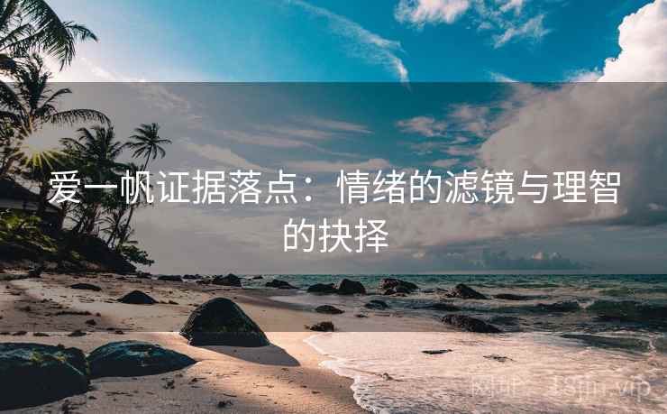 爱一帆证据落点:情绪的滤镜与理智的抉择 爱一帆证据落点:情绪的滤镜与理智的抉择