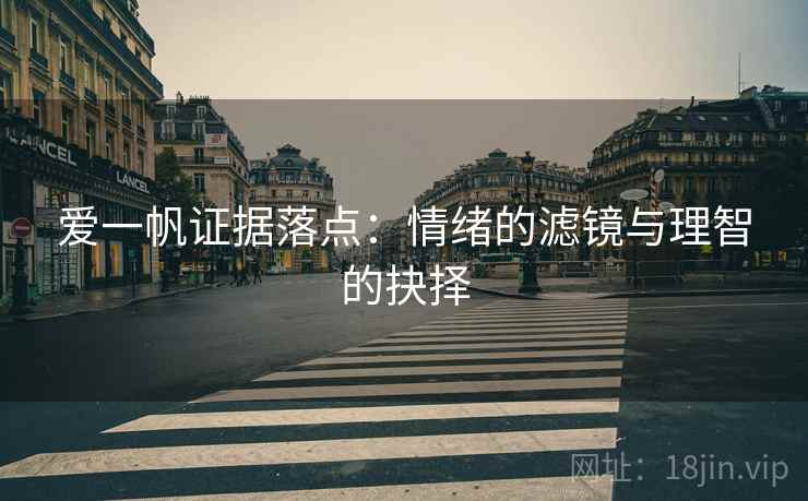 爱一帆证据落点:情绪的滤镜与理智的抉择 爱一帆证据落点:情绪的滤镜与理智的抉择