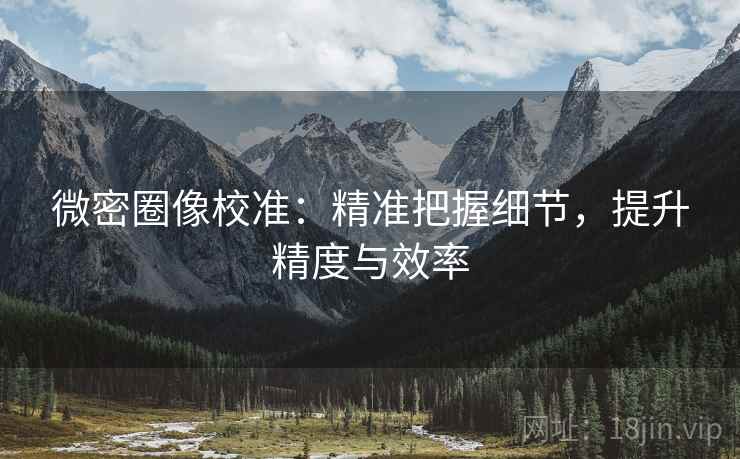 微密圈像校准：精准把握细节，提升精度与效率