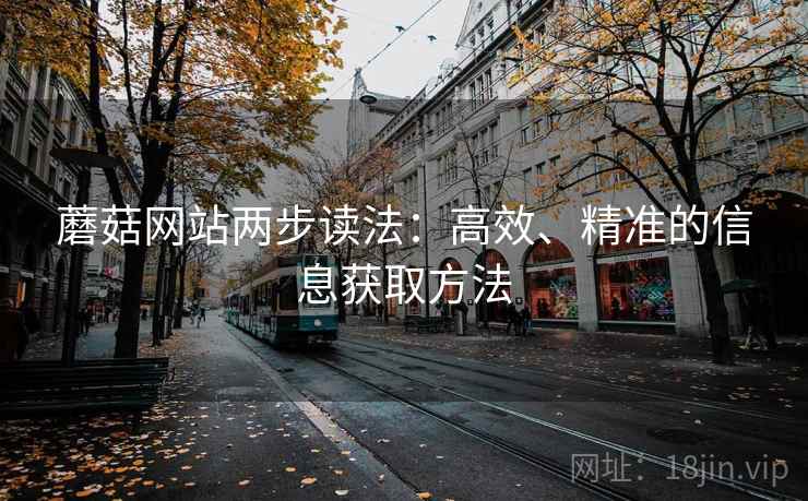 蘑菇网站两步读法：高效、精准的信息获取方法